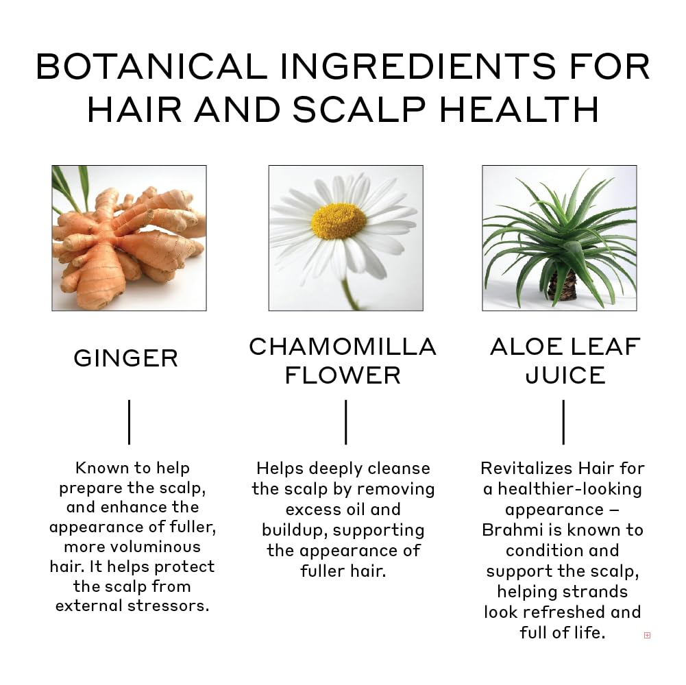 ZENAGEN Revolve Conditioner - Unisex Formula for Scalp Health & Fuller Hair | Plant-Based, Color-Safe, Vegan