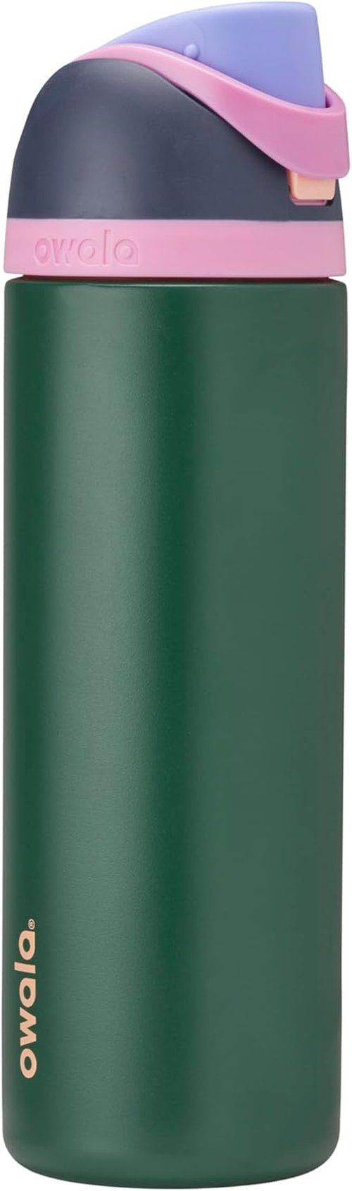 Owala FreeSip Insulated Stainless Steel Water Bottle - BPA-Free, 24 oz, Blue/Green Forest Fairy