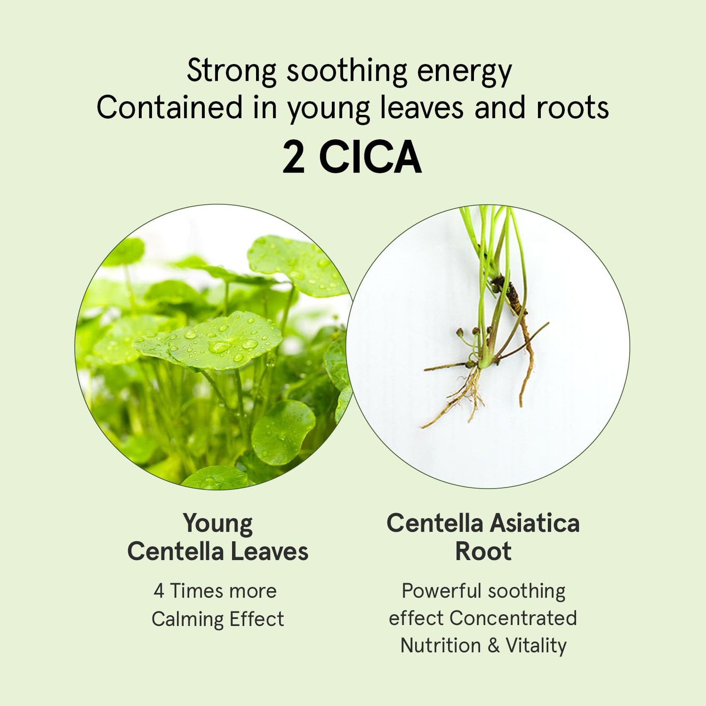 ONE THING Cica B5 calming Serum (1.69 fl.oz / 50ml), Korean Skincare, Panthenol Soothing, Hydration Boost for Sensitive Skin