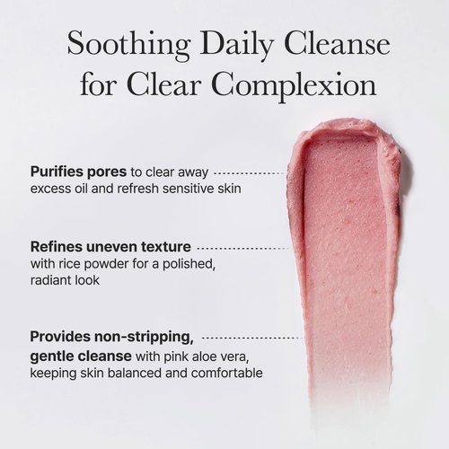 Arencia Rosehip Face Cleanser - Brightening Rice Mochi Daily Scrub for All Skin Types | 4.23oz