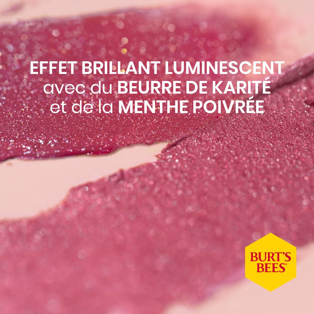 Burt's Bees Kissable Color Lip Shimmer - Perfect Holiday Gift | 1 EA