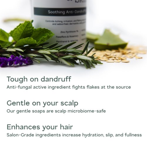 Salon-Grade Anti-Dandruff Shampoo - Relieves Itchy, Flaky Scalp | 1% Pyrithione Zinc | Sulfate-Free