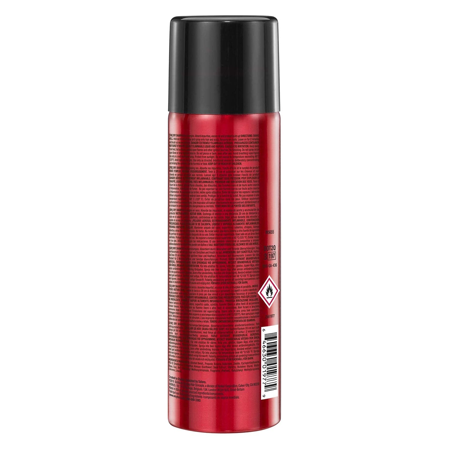 SexyHair Big Dry Shampoo - Remove Oils & Impurities | Adds Volume for All Hair Types