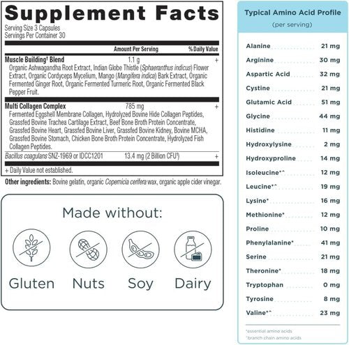 Ancient Nutrition Advanced Multi Collagen Protein Capsules - Support Muscle Health | 90 Count