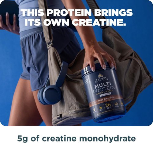 Ancient Nutrition Multi Protein Powder - 26g Protein, Grass Fed Whey & Creatine, Dark Chocolate, 15 Servings