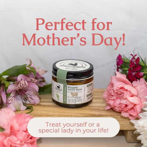 Hearth and Homestead Whipped Tallow Balm - Organic Unscented Body Butter for Eczema & Rosacea | 1.3 oz