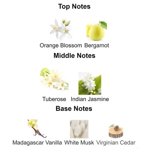 Reldor Pheromones Perfumes for Women | Floral Vanilla Roll-On Pheromone Oil | Confidence-Boosting Fragrance for Dates, Office & Travel | 10ml Travel Size Perfume