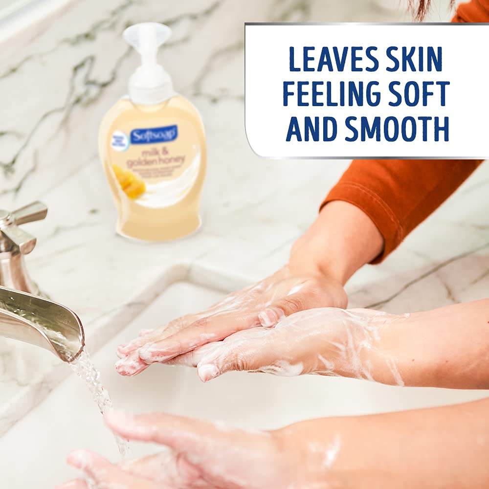 Softsoap Moisturizing Liquid Hand Soap - Milk and Honey Scent | 7.5 Fl Oz, Pack of 6