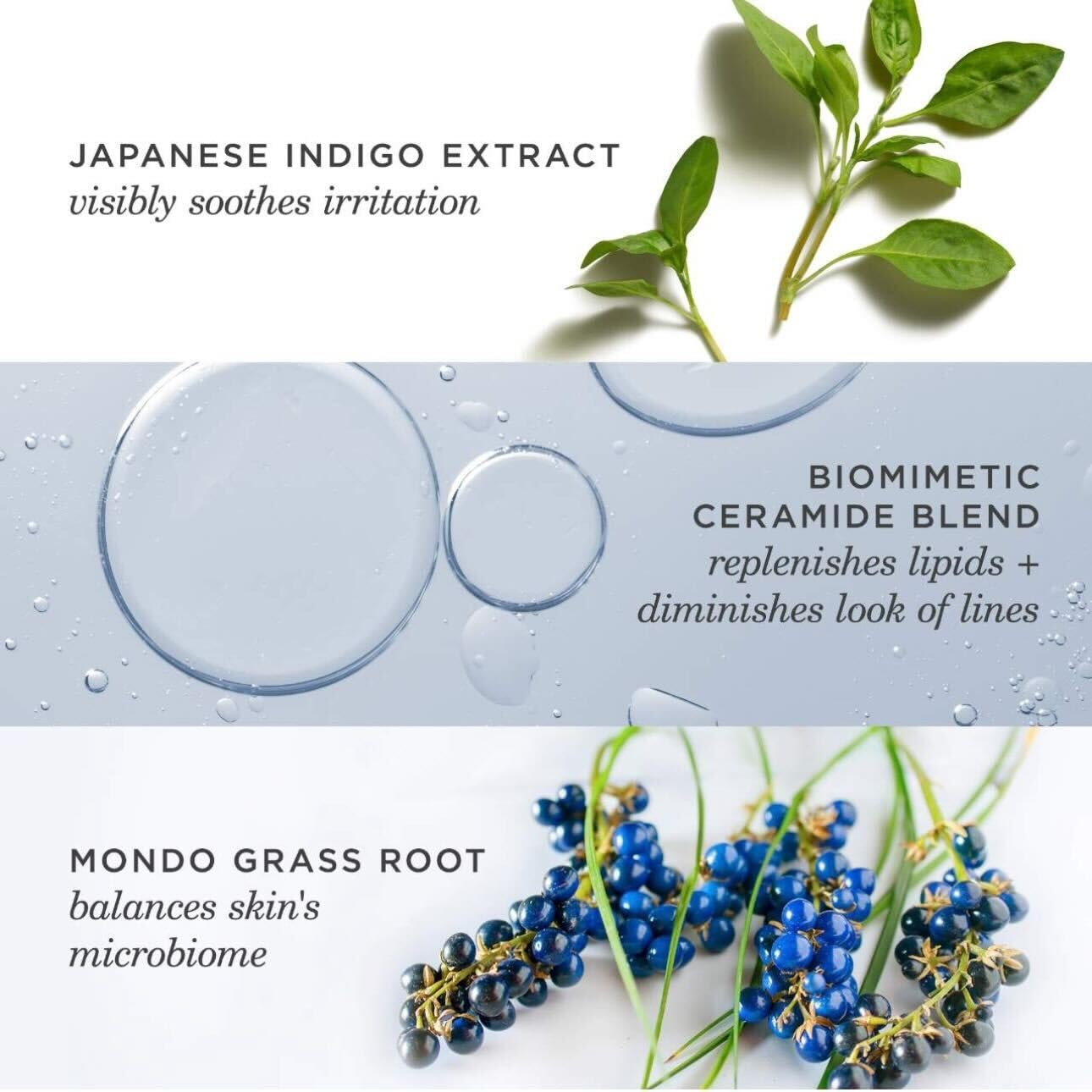 TATCHA Indigo Overnight Repair - Fragrance-Free Face Cream & Serum Treatment, 50 ml | 1.7 oz