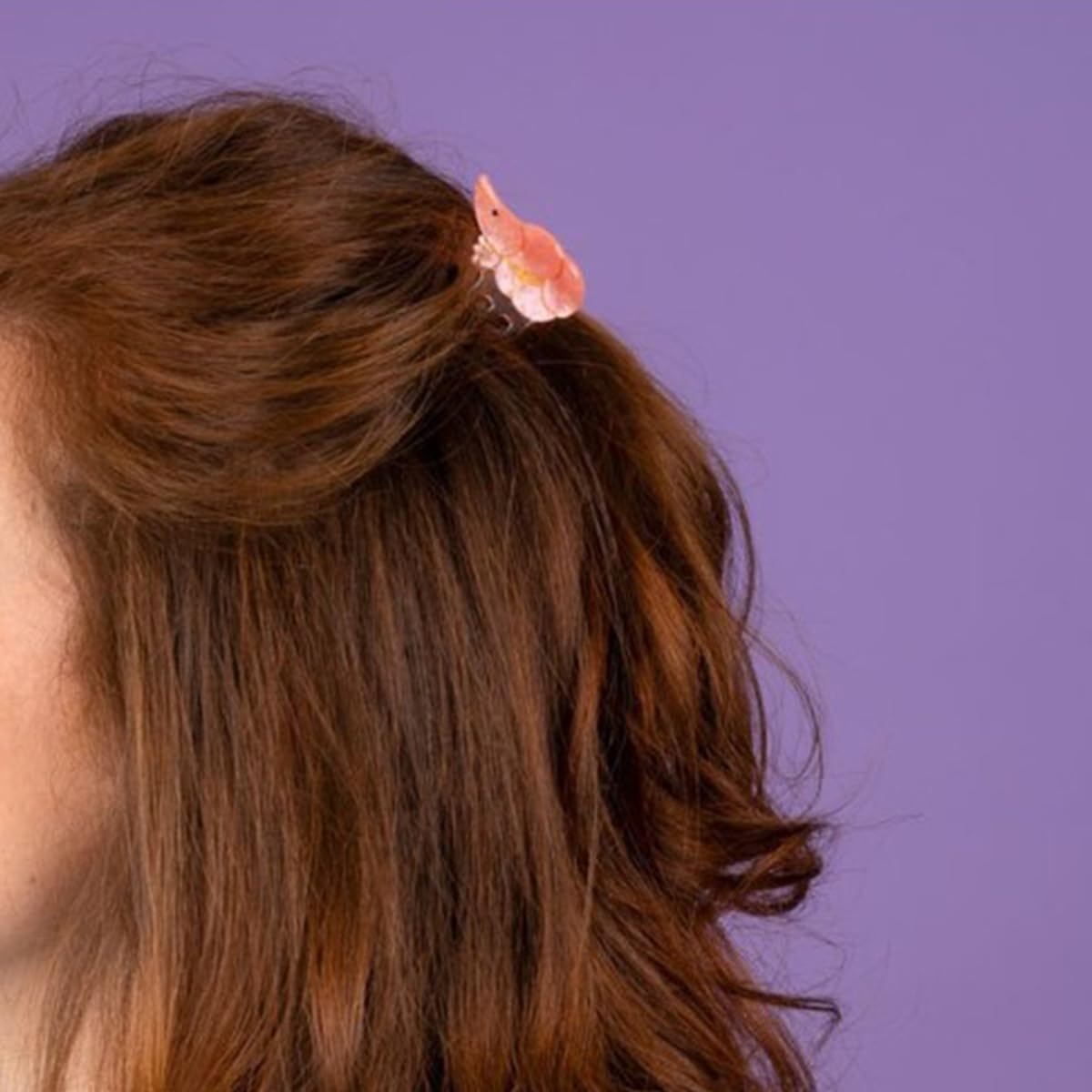 Shrimp Claw Clip,Acetate Hair Clips,Small Claw Clips for Women