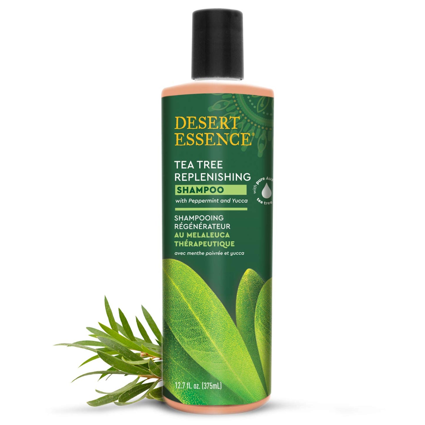 Desert Essence Tea Tree Oil Shampoo - Moisture Replenishing Formula with Peppermint & Eucalyptus | 12.7 fl oz, Gluten Free, Non-GMO