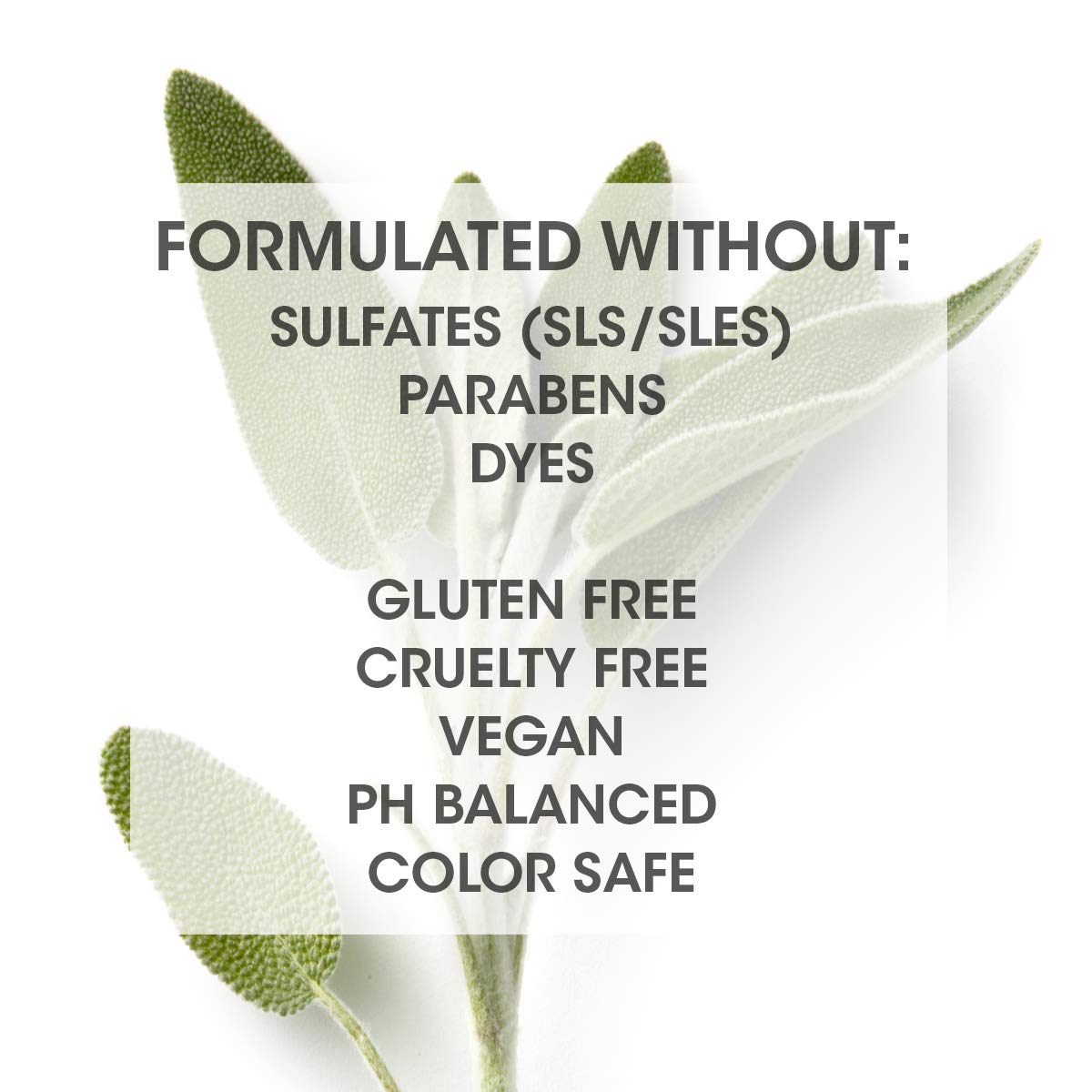 SEVEN Haircare Satara Volume Shampoo - Sulfate-Free & Paraben-Free | Pro Vitamin B5 & Argan Oil, 32oz
