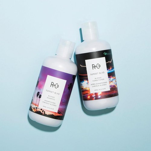 R+Co Sunset Blvd Daily Blonde Shampoo - Brightening & Brassiness Control | Hydrating | Vegan & Cruelty-Free | 8.5 Fl Oz