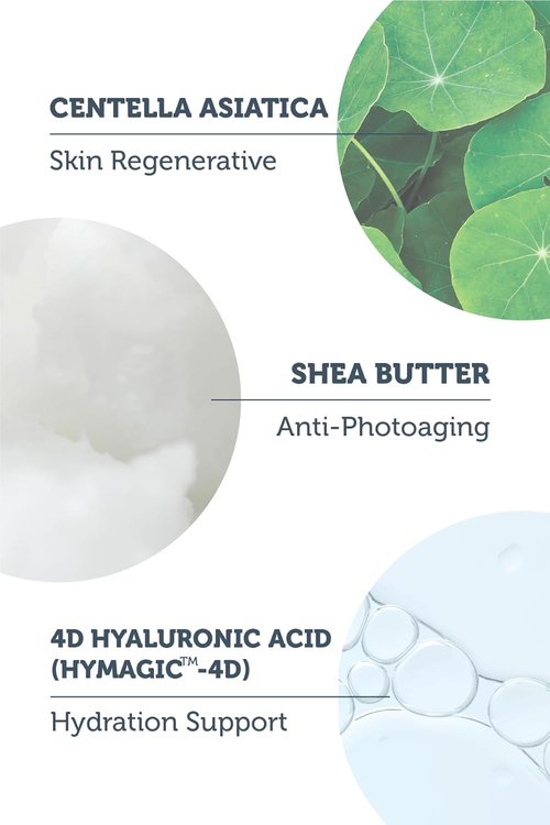 Purest Solutions Invisible UV Protection Daily Moisturizer SPF 50+ | Hydrating Hyaluronic Acid & Shea Butter - Anti-Aging for All Skin Types (1.69 fl. oz)
