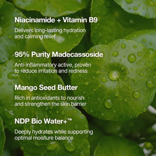 NDP Vitamin B9 Tone-Up Cream - Silicone-Free Face Primer for Pore Minimizing | 95% Pure Cica Extract (65ml)