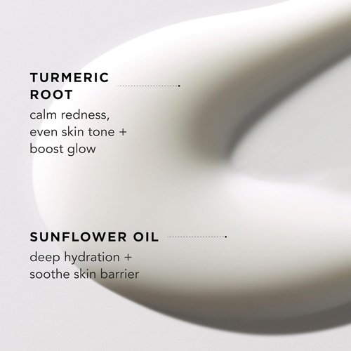 By Rosie Jane Everyday Body Milk - Hydrating Toner & Moisturizer for Even Skin Tone | Aloe Vera & Turmeric (5 Oz)