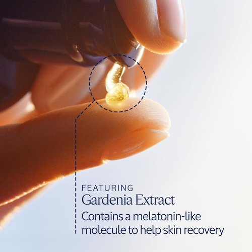L'Occitane Immortelle Overnight Reset Oil-in-Serum - Revitalize Skin Overnight | 1.00 fl. oz