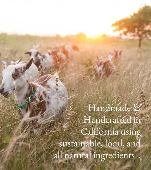 Goat Milk Body Lotion - Fragrance-Free Natural Moisturizer for Dry Sensitive Skin | 16oz, Fast-Absorbing & Non-Greasy