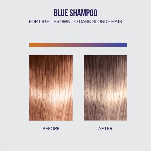 OLIGO PROFESSIONNEL - Blacklight Blue Shampoo - Sulfate-Free Formula for Blonde & Color-Treated Hair - 8.5oz