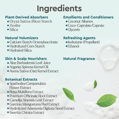 Puracy Natural Dry Shampoo - Plant-Powered Cleansing & Volumizing Formula | Benzene-Free, Non-Toxic, 6 oz (Citrus & Jasmine)