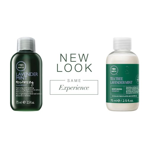 Regine Switzerland Tea Tree Lavender Mint Shampoo - Hydrating & Soothing for Coarse, Dry Hair