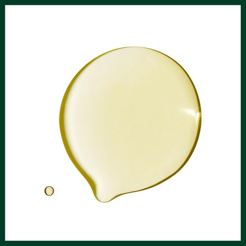 Aveda Dry Remedy Daily Moisturizing Oil - Instantly Hydrates Dry Hair | 90% Naturally Derived | Silicone-Free, 1 Fl Oz