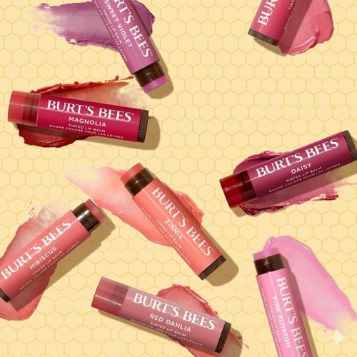 Burt's Bees Tinted Lip Balm Gift Pack - Assorted Colors Including Pink Blossom, Rose & More