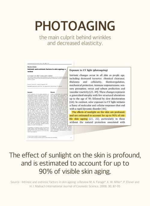 Mixsoon Bean Sunscreen - Lightweight SPF 50 Korean Sunscreen for Face | No White Cast, Non-Sticky, 50ml