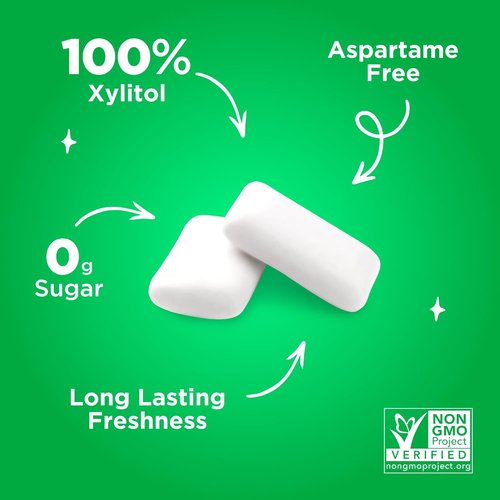 PUR Gum - Aspartame Free Chewing Gum with 100% Xylitol | Natural Spearmint Flavor, 55 Pieces