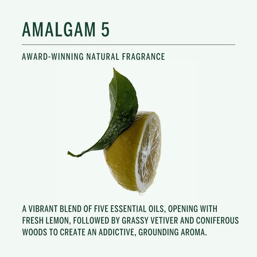 Corpus - Amalgam 5 Aromatic Hand Wash with Argan Oil & Vitamin E | Vegan, Non-Toxic Cleanser (10 fl oz)
