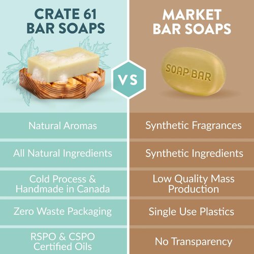 Crate 61 Organics Natural Bar Soap - Handmade Plant-Based Formula with Essential Oils | Pack of 6 (Citrus)