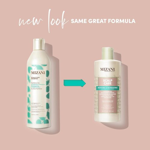 MIZANI Scalp Care Dandruff Shampoo - Deep Cleansing Formula for Curly Hair & Scalp Care