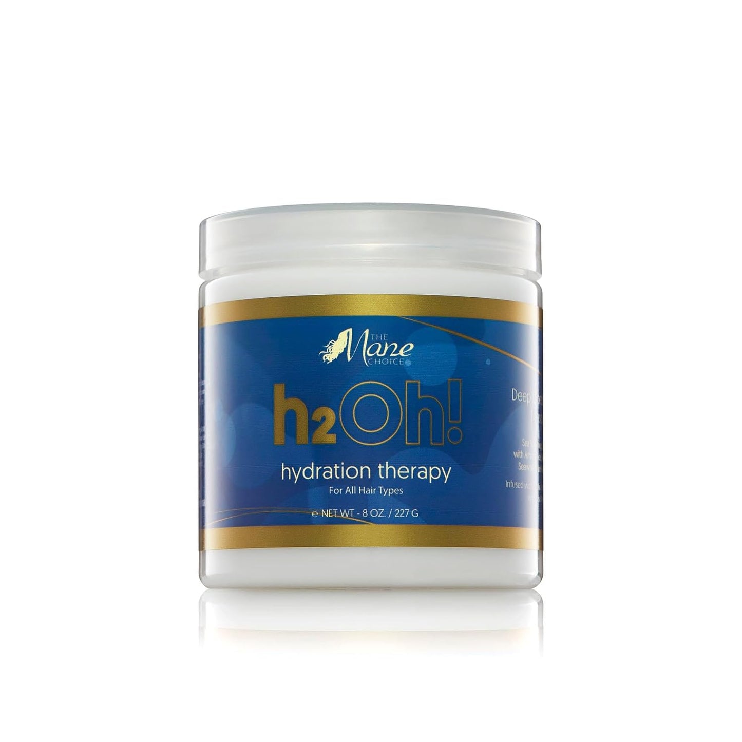 The Mane Choice H2Oh! Hydration Therapy Hair Masque - Deep Moisture Treatment | 8 Oz
