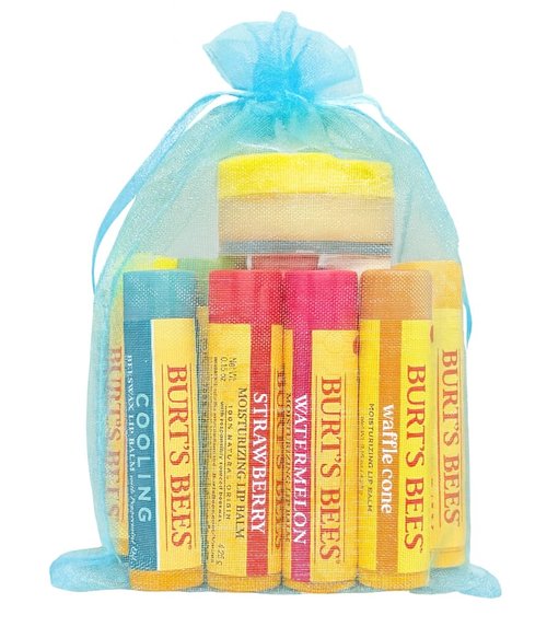 Burt's Bees Lip Balm Variety Set - 9 Count + 1 Lemon Sorbet Treatment | Perfect Stocking Stuffer