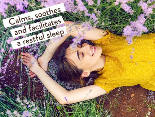BABO Botanicals Calming Lavender Bubble Bath & Wash - Relaxing Chamomile & Lavender - EWG Verified, Vegan