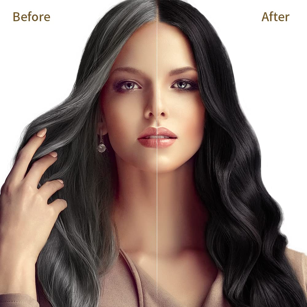 Skiennix Black Hair Dye Shampoo - Herbal Semi-Permanent Color for 100% Gray Coverage | 16.9 Fl Oz