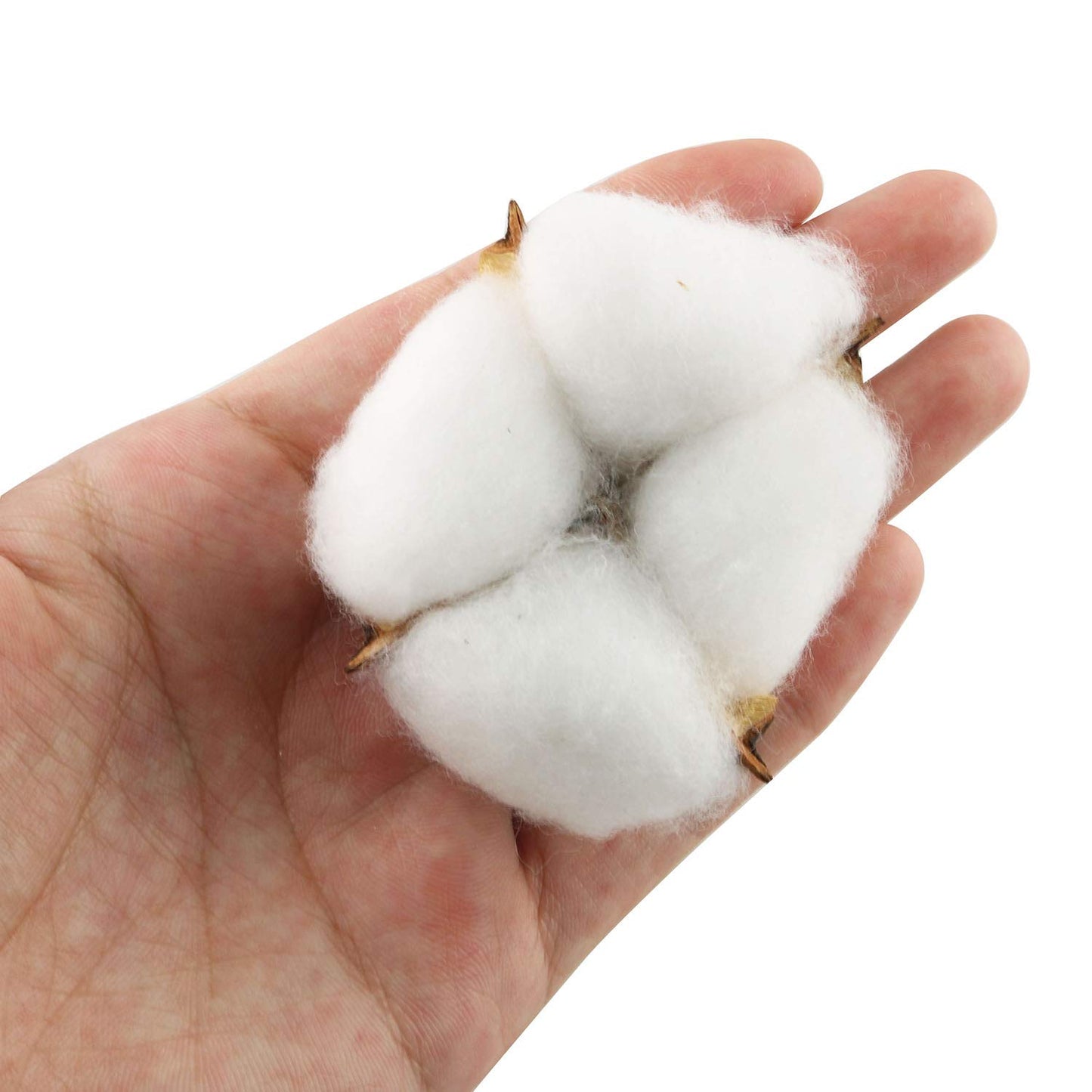 Tegg Cotton Boll 20PCS Natural White Cotton Balls Dried Cotton Pods for Crafting Farmhouse Style