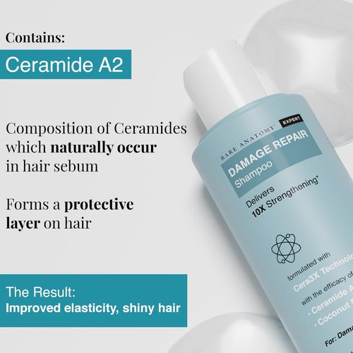 Bare Anatomy Damage Repair Shampoo - Paraben & Sulphate Free | Ideal for All Hair Types | 250 ml