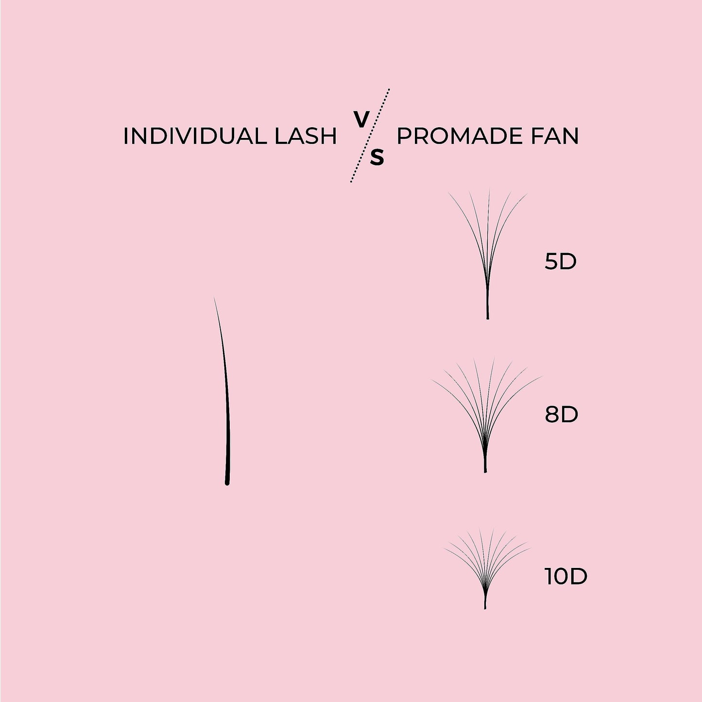 LLBA Promade Fans | Handmade Volume Eyelashes | Multi Selections From 3D To 16D | C CC D DD L M Curl | Thickness 0.03 ~ 0.1 mm | 8 - 20mm Length | Long Lasting | Easy Application (8D-0.05 CC 12 mm)