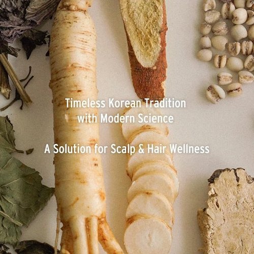 **L01 Korean Root Pro Booster Scalp Care Serum Spray - Herbal Composition with Copper Tripeptides for Hair Loss**