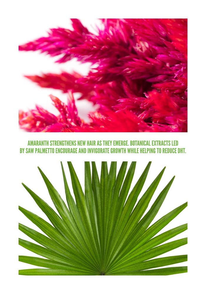 Surface Hair - Awaken Therapeutic Treatment for Thinning Hair - Natural Ingredients for a Healthy Scalp