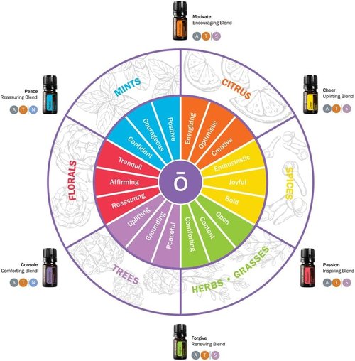 doTERRA - Emotional Aromatherapy System Kit - 6 Essential Oils for Wellness & Balance