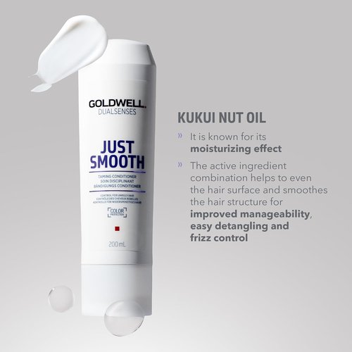 Goldwell Dualsenses Just Smooth Conditioner - Anti-Frizz & Humidity Control | 1L Size