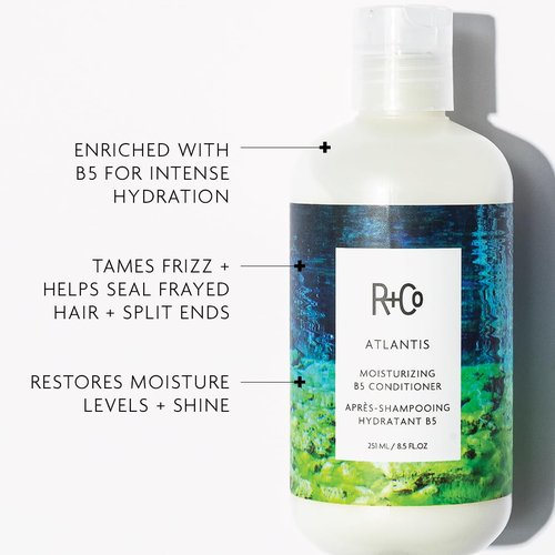 R+Co Atlantis Moisturizing B5 Conditioner | Hydrating & Nourishing Conditioner for Dry, Damaged Hair | Restores Moisture, Softens & Adds Shine | Vegan, Sulfate-Free & Color-Safe