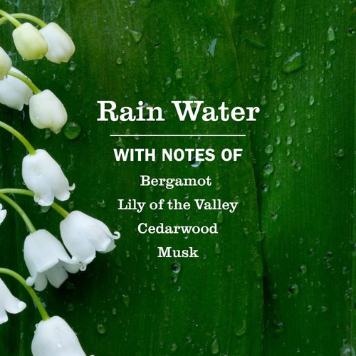 Mrs. Meyer's Clean Day Hand Soap Refill - Rain Water Scent | 33 Fl Oz Bottle for Gentle Cleansing