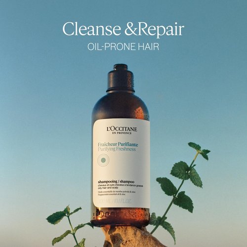 L'OCCITANE Purifying Freshness Shampoo - Reduces Excess Sebum, Silicone-Free, For Normal to Oily Hair