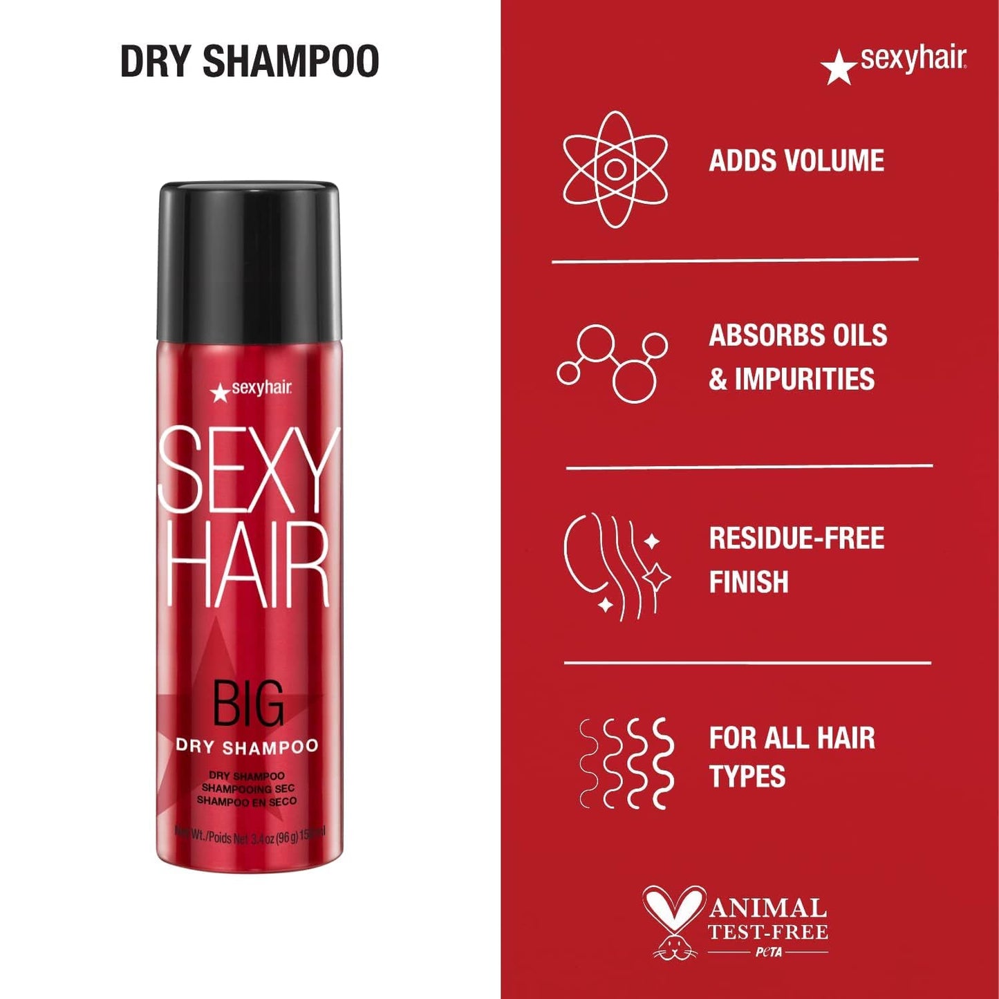 SexyHair Big Dry Shampoo - Remove Oils & Impurities | Adds Volume for All Hair Types