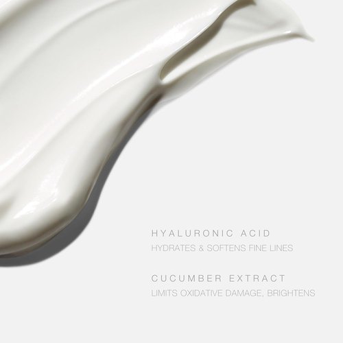 Hampton Sun SPF 45 Face Cream - Wrinkle Control Daily Moisturizer with Hyaluronic Acid & Cucumber Extract | Glowy Finish