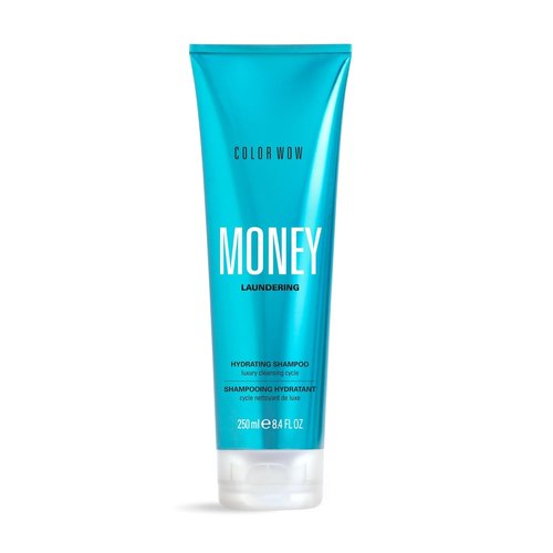 COLOR WOW Money Laundering Hydrating Shampoo - Sulfate-Free Formula for Silky Smooth Hair | 8.4 fl oz