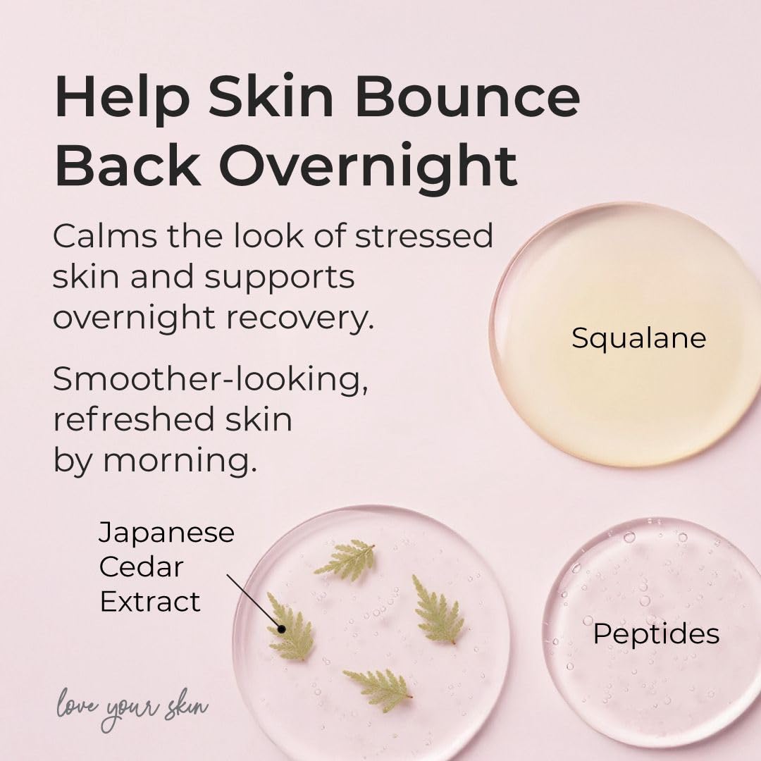 SIMPLE PLAN Hydrating Night Cream - Anti-Aging Face Moisturizer with Ceramides & Hyaluronic Acid | 50 ml